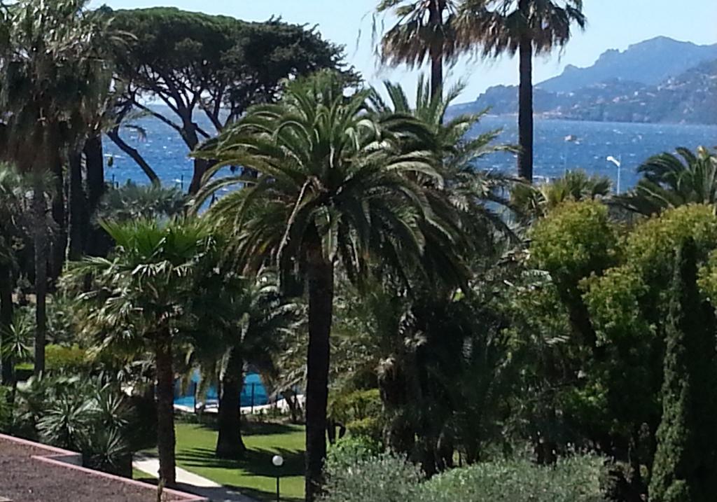Sea Side Apartment Cannes Zewnętrze zdjęcie